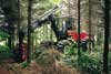 Opportunities abound for foreign investors in forestry and mining 
