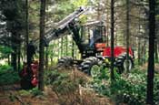 Branching out: companies are expanding, modernising  and upgrading facilities to broaden their customer base