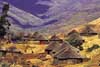 The mountainous country