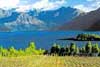 The successful ?100 per cent pure New Zealand? campaign raises visitor numbers