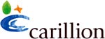 www.carillionplc.com