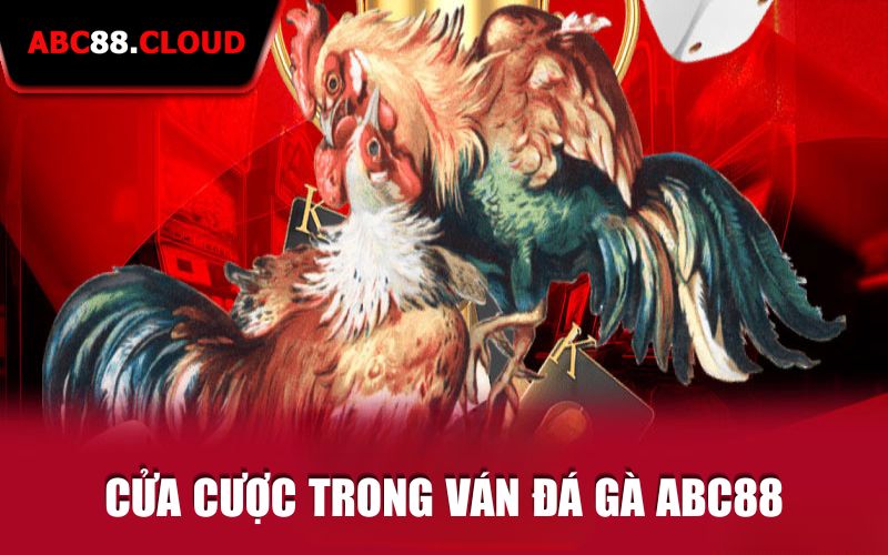 03 tùy chọn cửa cược hấp dẫn trong một ván đá gà ABC88