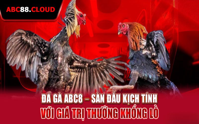 Tại sao đá gà ABC88 lại được ủng hộ nồng nhiệt?