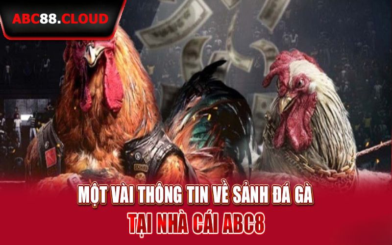 Tổng quan về trò chơi đá gà ABC88