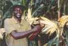 AGRICULTURE